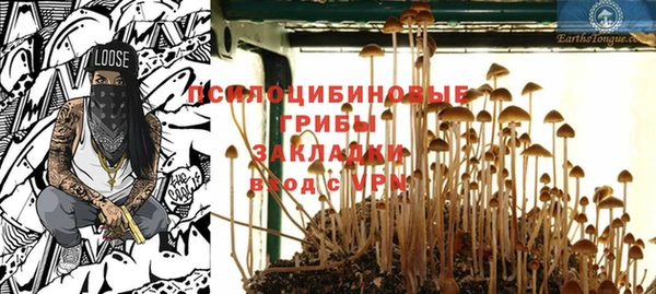 экстази Белокуриха