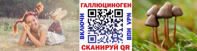 Галлюциногенные грибы прущие грибы  Купить закладки  Облучье 